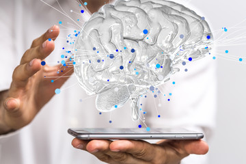 学士学位和本科的区别/学士学位和本科一样吗