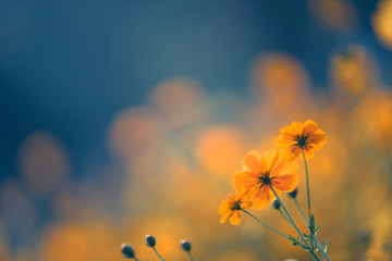 广西省考进面名单公布（广西省考进面分数）