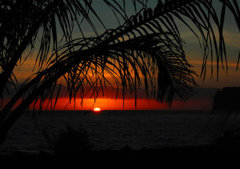 2022年高考语文作文满分范文（2022年高考语文作文满分范文大全）