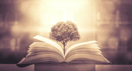 【全国英语四六级考试报名网,英语四六级备考网站】