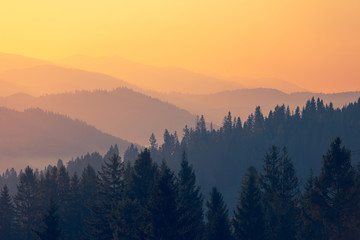 安徽省考成绩排名/安徽省考成绩排名系统