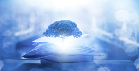 【升学历的正规机构有哪些,自己怎么提升学历】