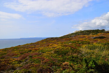 学校官网查询录取结果（学校官网查询录取结果显示该账号不存在是什么意思）