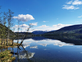 安徽省考成绩排名/安徽省考成绩排名系统