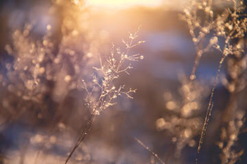 【全国英语四六级考试报名网,英语四六级备考网站】