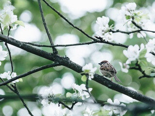 安徽省考成绩排名/安徽省考成绩排名系统