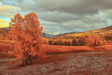 学校官网查询录取结果（学校官网查询录取结果显示该账号不存在是什么意思）