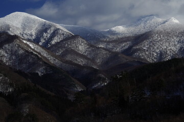 河南教师资格网官网/河南省教师资格网官网报名