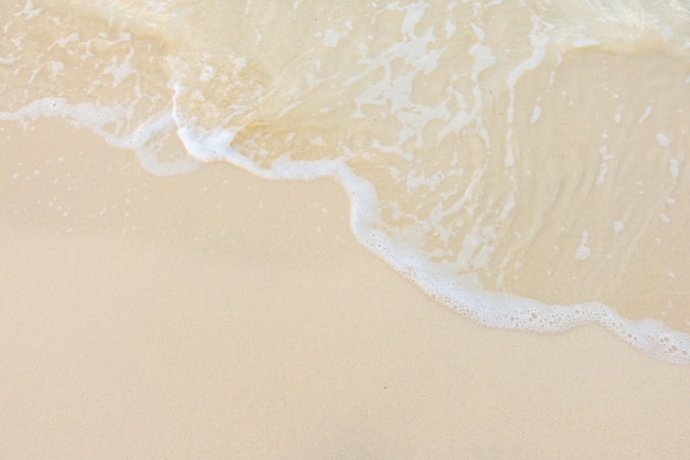 学士学位和本科的区别/学士学位和本科一样吗