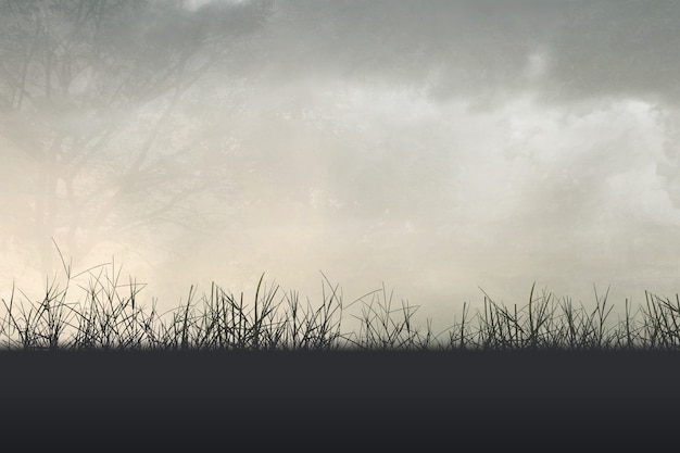 广西省考进面名单公布（广西省考进面分数）