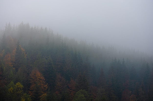学士学位和本科的区别/学士学位和本科一样吗