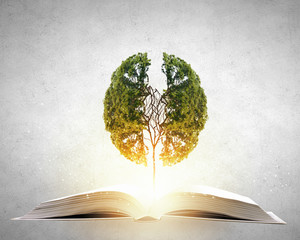 学士学位和本科的区别/学士学位和本科一样吗