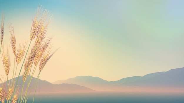 ynzscn云南招生网站（ynzscn云南招生网站官网）