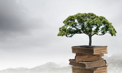 【全国英语四六级考试报名网,英语四六级备考网站】