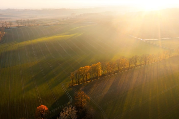 2022年高考语文作文满分范文（2022年高考语文作文满分范文大全）
