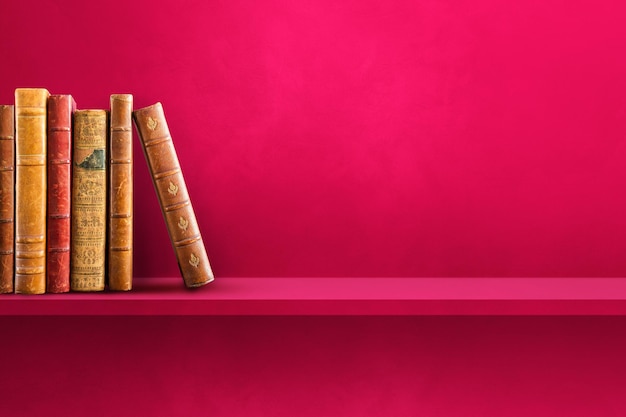 云南招考网录取查询/云南招生考试官网频道查录取