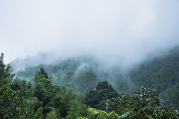安徽省考成绩排名/安徽省考成绩排名系统